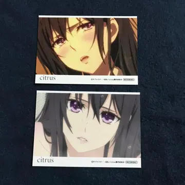 citrus 사부로 우타 특전 브로마이드 2장 세트 메이