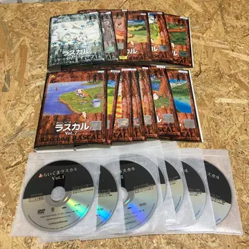 전13권 아라이구마 라스칼 DVD 렌탈용