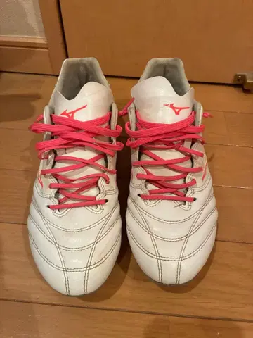 미즈노 모나르시다 와이드 26.0cm