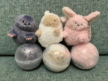 치라리즈 가챠가챠 모구치 우사치 히츠치