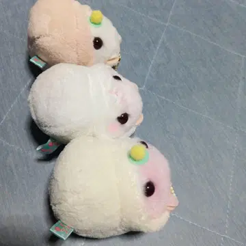 코로하무 콜론 3체