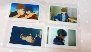 Free! 미니 브로마이드 키리시마 이쿠야 키리시마 나츠야