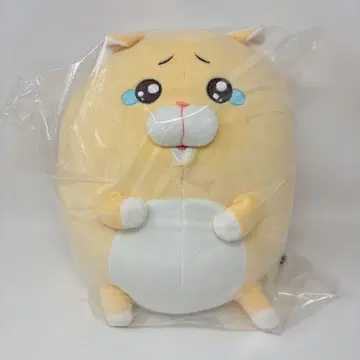 울보 고양이 키이짱 마슈못치 BIG 봉제 인형 모후칸 고양이 레어