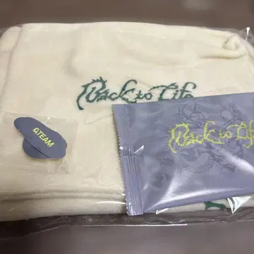 &TEAM mini fanmeeting 담요 스티커 카이로