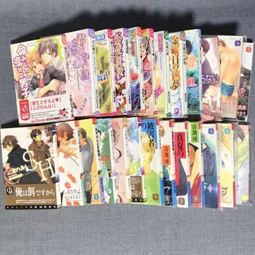 BL 문고 묶음 판매 25권