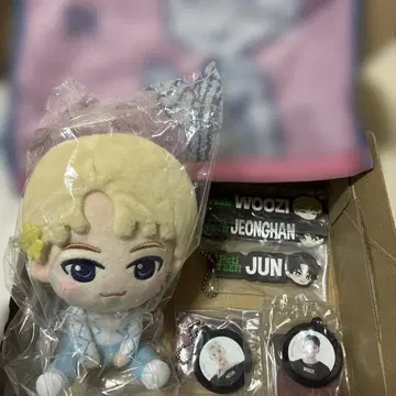 SEVENTEEN 세븐틴 봉제 인형, 키링 외 7종 세트