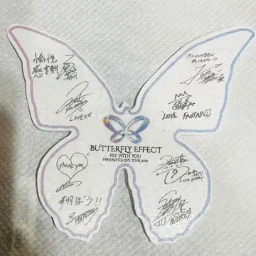 FANTASTICS 낙하물 나비