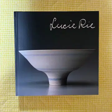 루시 리 전시 2010년 도록 국립신미술관