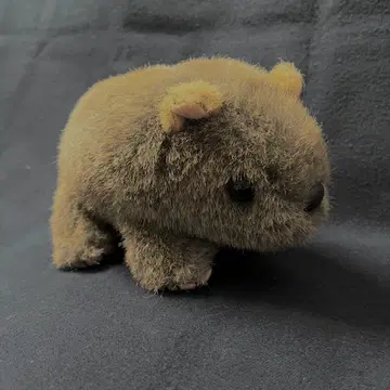 Windmill Toys 웜뱃 호주 봉제 인형