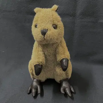 쿼카 호주 브라운 봉제 인형