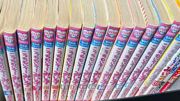 이쪽을 봐! 미이코