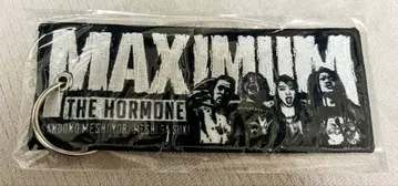 MAXIMUM THE HORMONE 플라이트 택