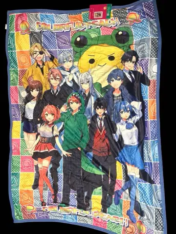 택 포함 새상품! 컬러풀 피치 하프 사이즈 담요 전원 집합