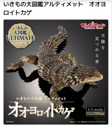 생물 대도감 얼티밋 오오요로이도마뱀