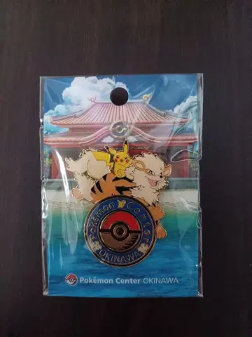 포켓몬 센터 오키나와 한정판 핀즈