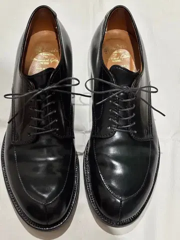 ALDEN 코도반 V칩