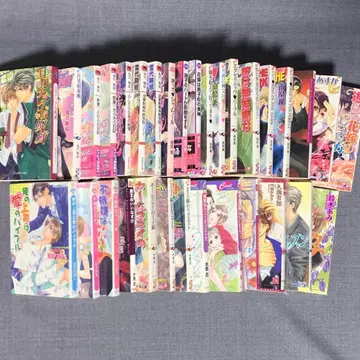 BL 문고 묶음 판매 33권 미즈시마 시노부/난바라 켄/외