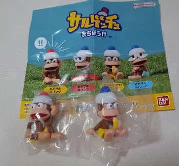 사루겟츄 기다림