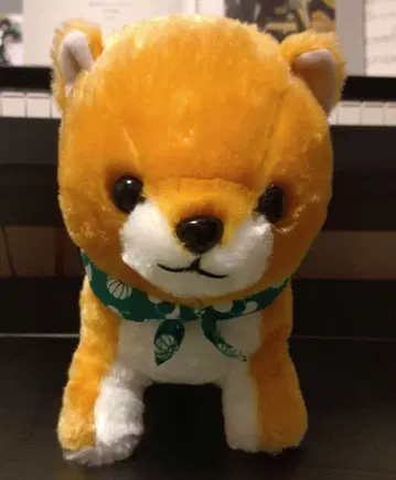 콩시바 삼형제 봉제 인형