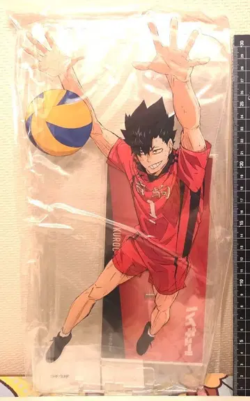 baseyard tokyo 하이큐!! 아크릴 메가 피규어 쿠로오 테츠로