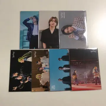 Mrs.GREENAPPLE 포토 카드 묶음 판매