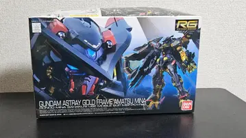 RG 아스트레이 골드 프레임 아마츠 미나