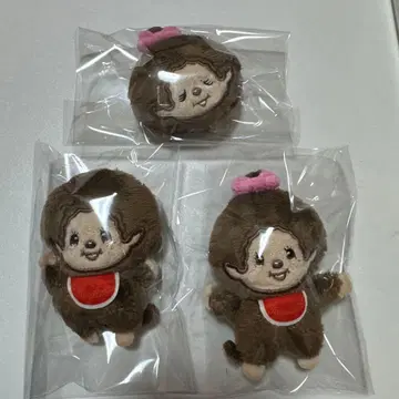 몽치치 봉제 인형 배치