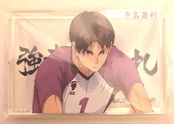 baseyard tokyo 하이큐!! 아크릴 블록 우시지마 와카토시