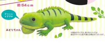 미도리 쨩 레오파의 열쇠고리 친한 JB 봉제 인형 그린 이구아나