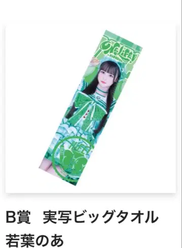 와카바노아 실사 빅 타월