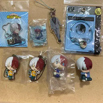 나의 히어로 아카데미아 토도로키 쇼토 8세트