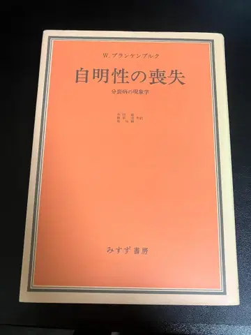 자명성의 상실 W 블랑켄부르크 미스즈 서점