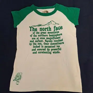 THE NORTH FACE 래글런 T셔츠 L 사이즈