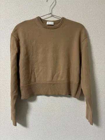 Ballisey 베이지 크롭 기장 크루넥 니트