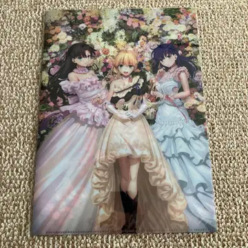 Fate/stay night 20주년 기념 콘서트 A4 클리어 파일