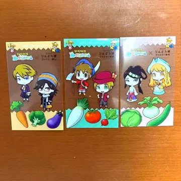 목장 이야기 바람의 그랜드 바자르 클리어 카드 3장 세트