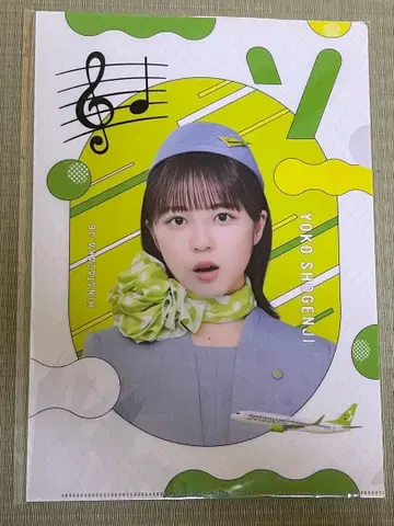 히나타 페스티벌 쇼겐지 요코 소라시도 에어 클리어 파일 히나타자카46