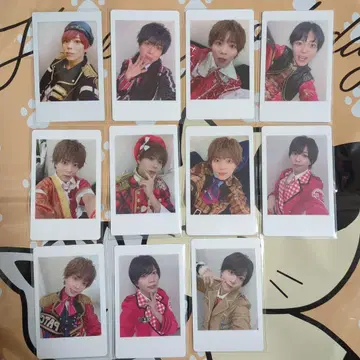 팬더 드래곤 팻치 하피카 11장