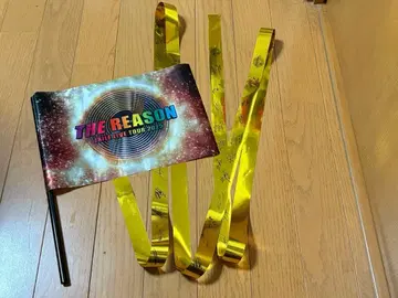 EXILE THE REASON 플래그와 금 테이프 세트