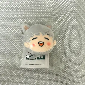 미세스 후지사와 료카 한국 키링 봉제 인형