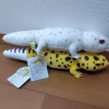 레오파의 키이쨩 사이좋은 JB 룰루랄라 기분 봉제 인형 키이쨩 루비님