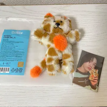 BOYNEXTDOOR 보넥도 푸넥도 키링 케피 손호 트레이딩 카드