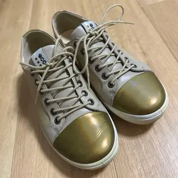 ecco 에코 골프화 골드