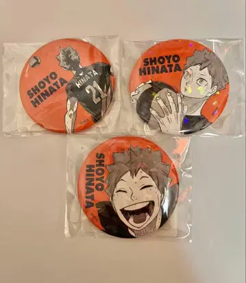 하이큐 올스타 캔뱃지 히나타