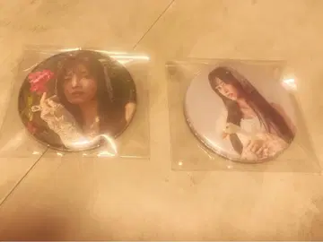 노기자카46 이케다 에레나 캔뱃지 개인전 Wings 오리의 꿈