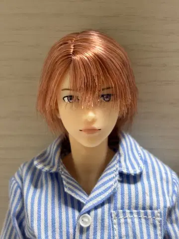 펫웍스 육분의일 남자 도감 파자마 에이트