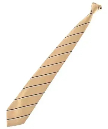 Manifatture Cravatte 넥타이 남성용