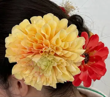 후리후 일본 의류 머리 장식 6세트 후리소데/하카마