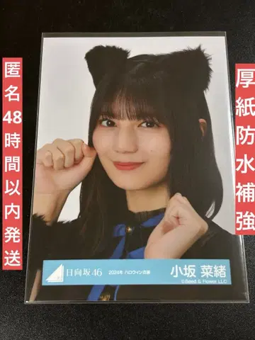 히나타자카46 브로마이드 2024 할로윈 코사카나오 요리