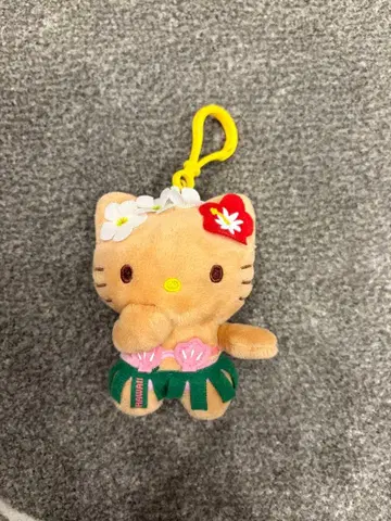 하와이 일광화상 키티 키링